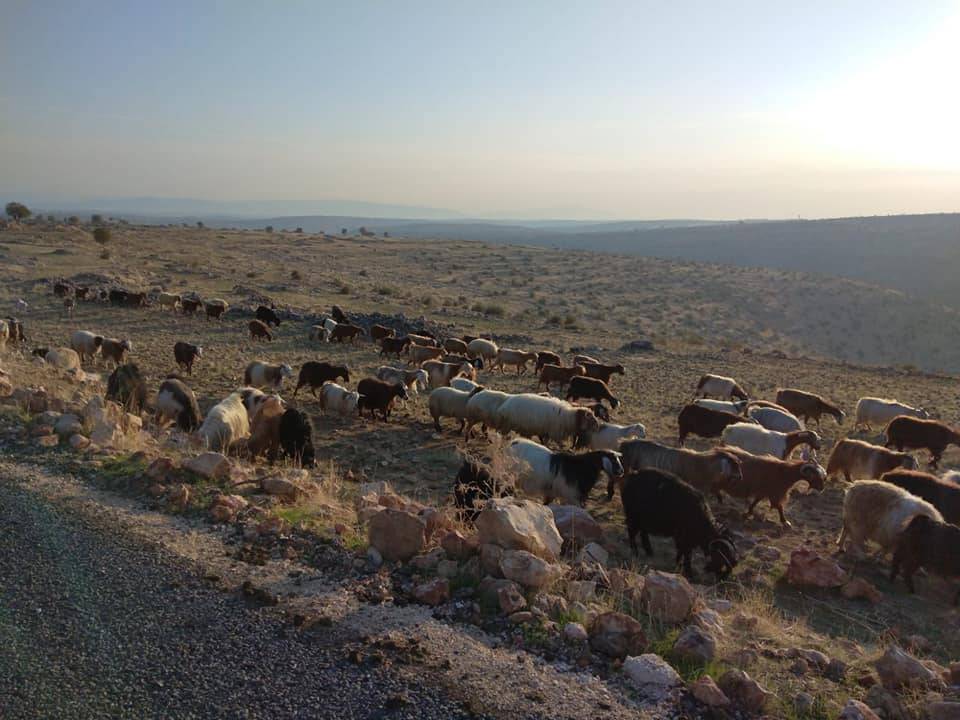 İdil Topraklı Köyü Resimleri 5
