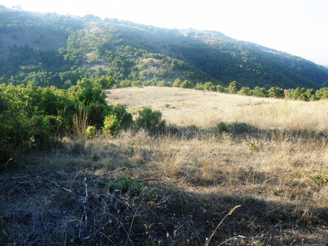 Söğüt Dudaş Köyü Resimleri 3