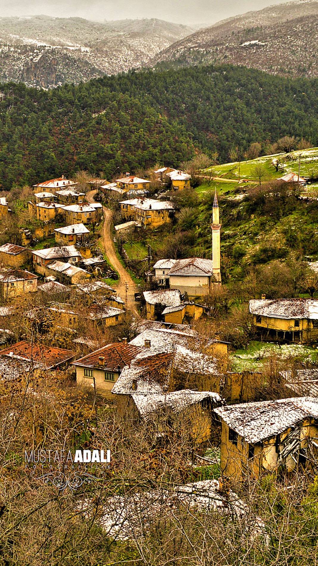Söğüt Dudaş Köyü Resimleri 5