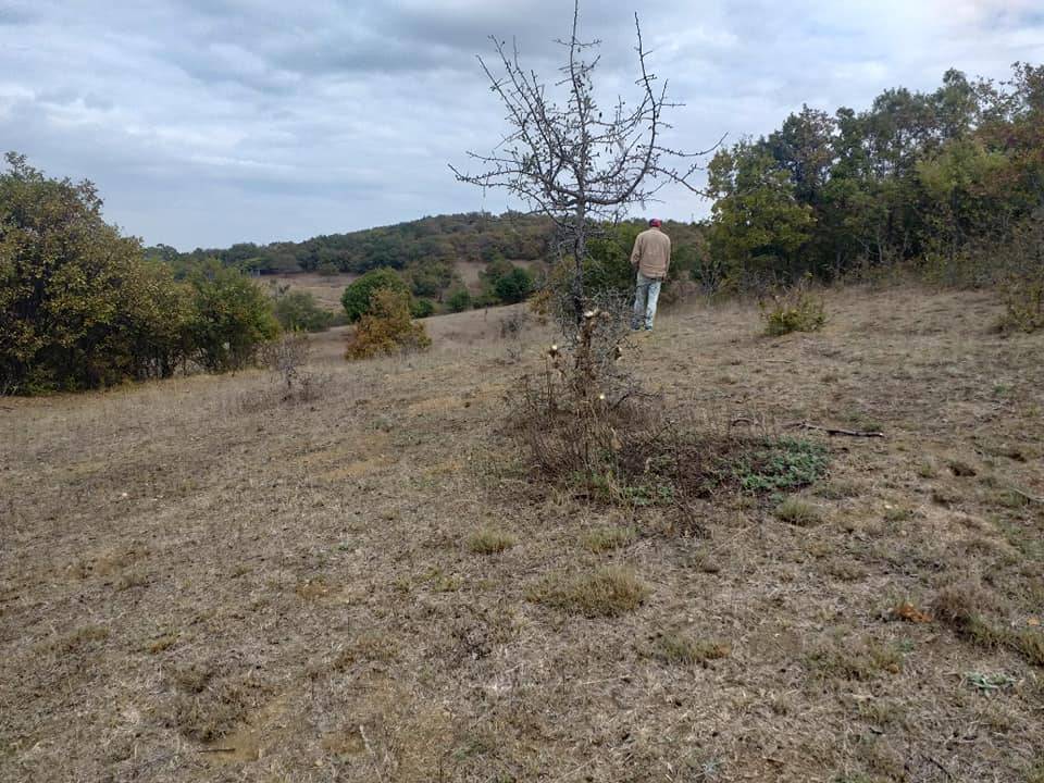 Söğüt Dudaş Köyü Resimleri 7