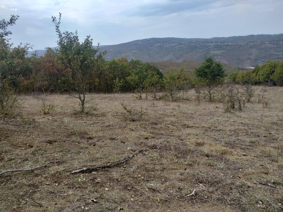 Söğüt Dudaş Köyü Resimleri 8