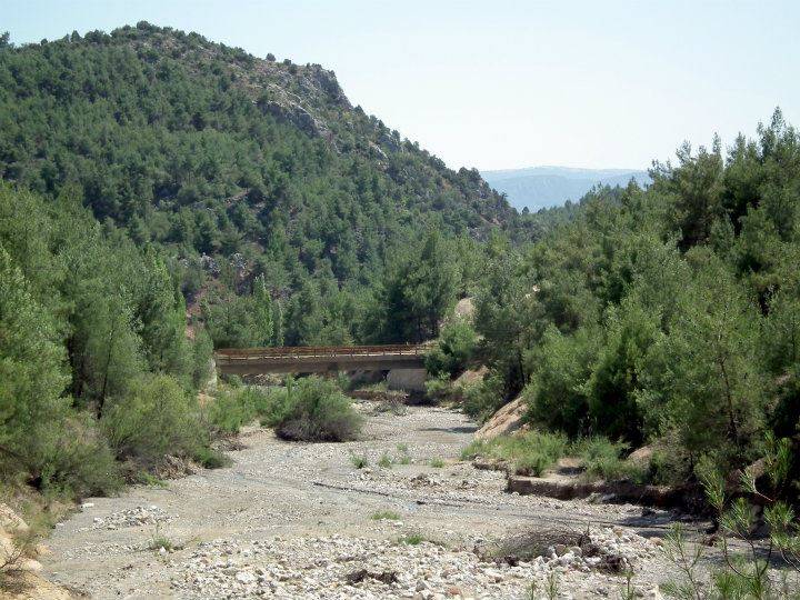 Söğüt Kayabalı Köyü Resimleri 5