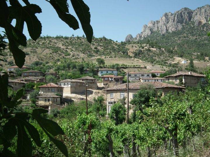 Söğüt Kayabalı Köyü Resimleri 7