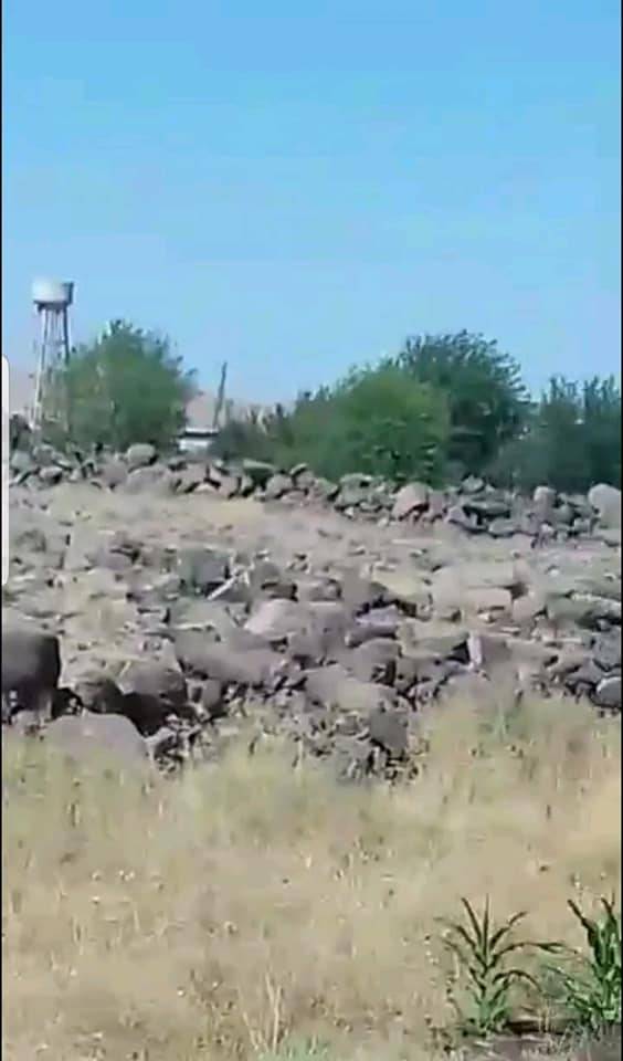 İdil Varımlı Köyü Resimleri 8