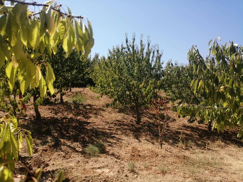 Söğüt Küre Köyü Resimleri 7