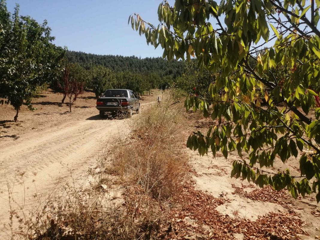 Söğüt Küre Köyü Resimleri 8