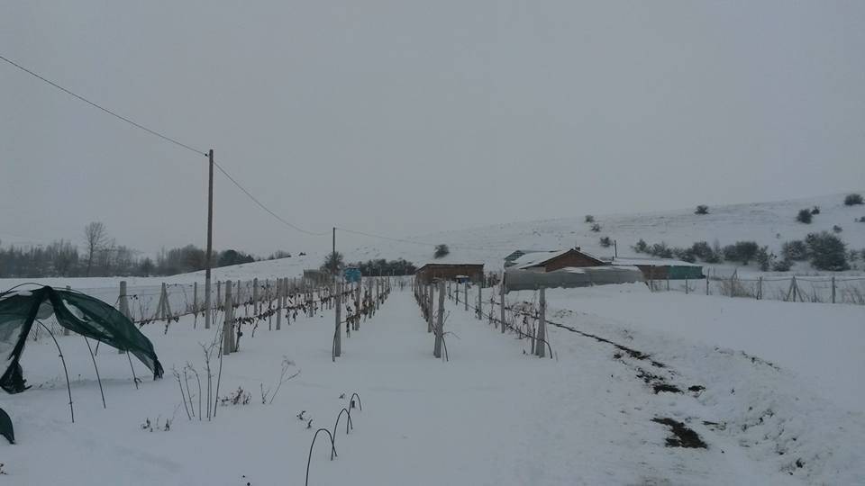 Söğüt Oluklu Köyü Resimleri 1