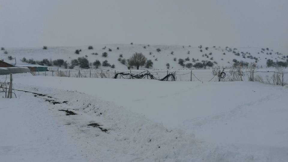Söğüt Oluklu Köyü Resimleri 3