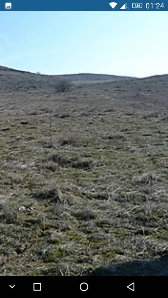 Söğüt Oluklu Köyü Resimleri 4