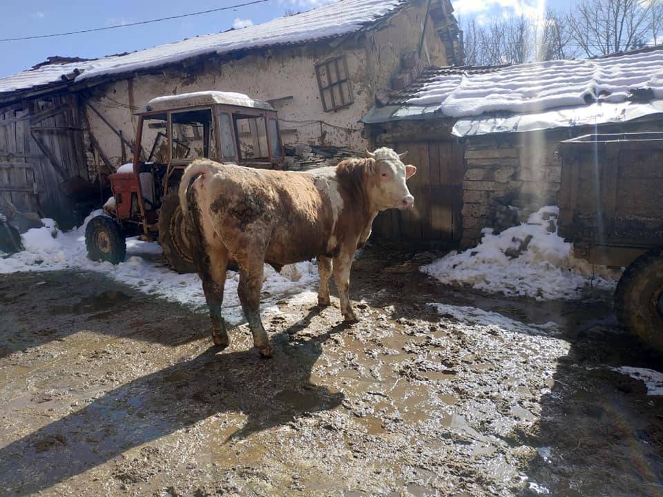 Söğüt Oluklu Köyü Resimleri 6