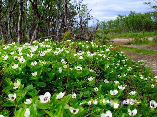Çukurca Kazan Köyü Resimleri 1