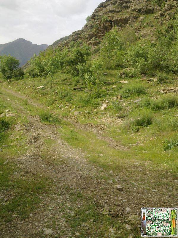 Çukurca Kazan Köyü Resimleri 3