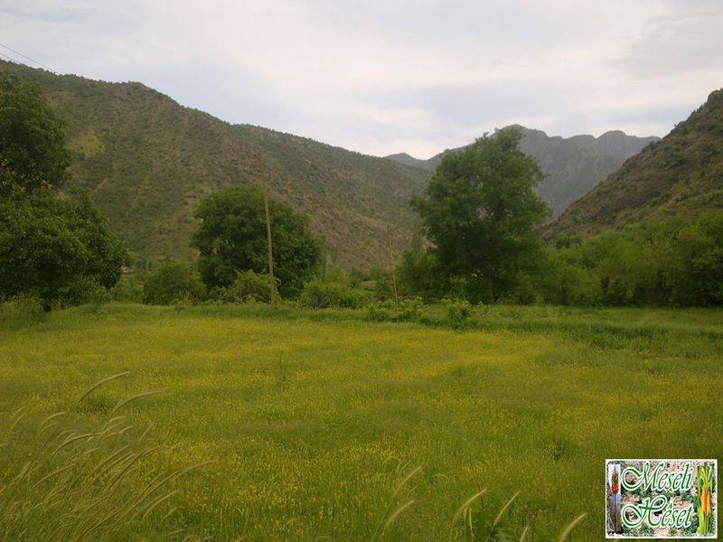 Çukurca Kazan Köyü Resimleri 8