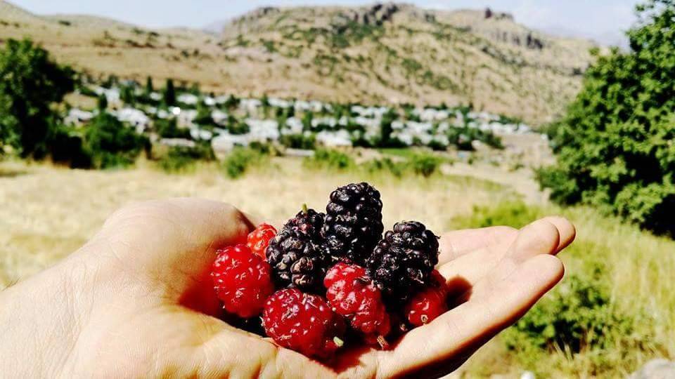 Çukurca Üzümlü Köyü Resimleri 5