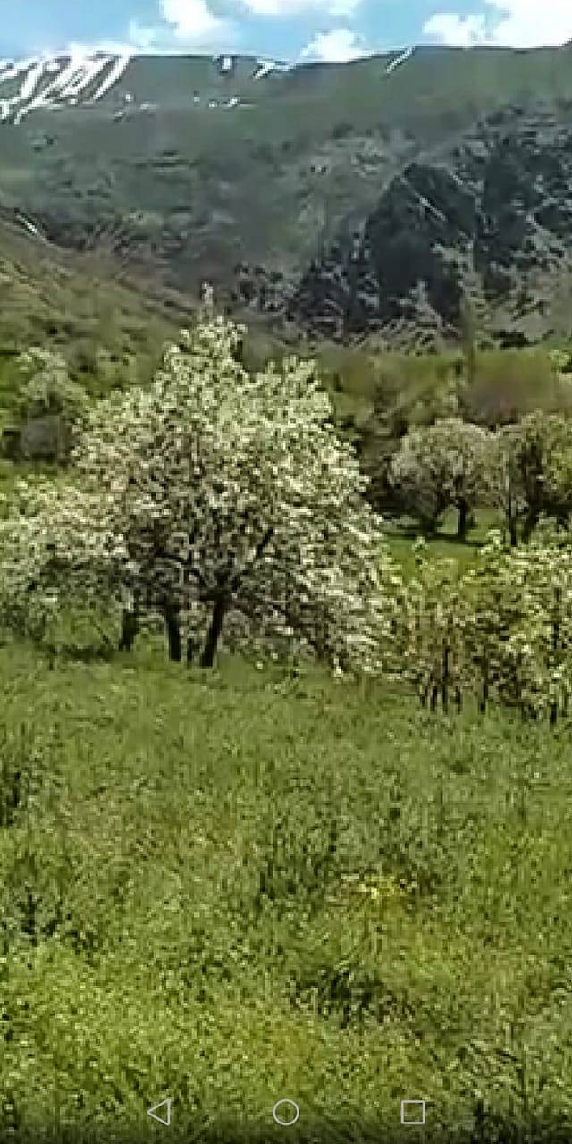 Şemdinli Bağlar Köyü Resimleri 13