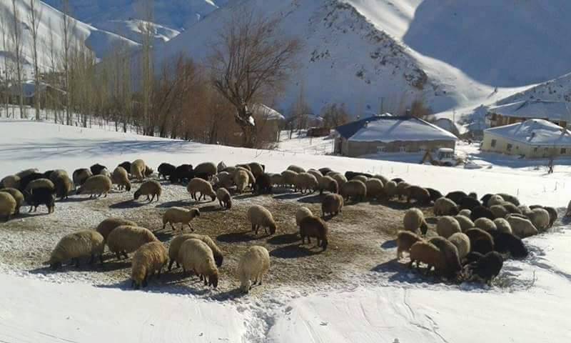 Şemdinli Bağlar Köyü Resimleri 6