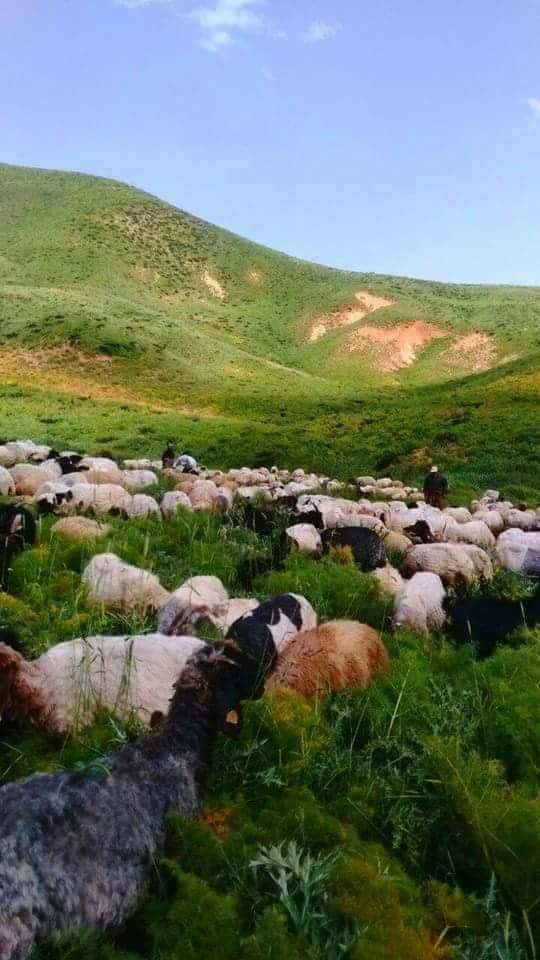 Şemdinli Bağlar Köyü Resimleri 7