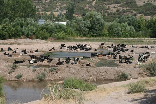 Akhisar Dingiller  Köyü Resimleri 10