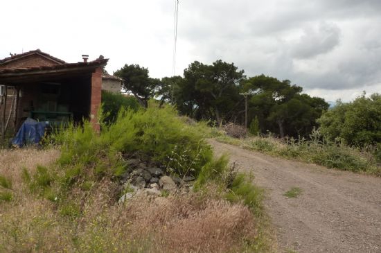 Akhisar Dingiller  Köyü Resimleri 3