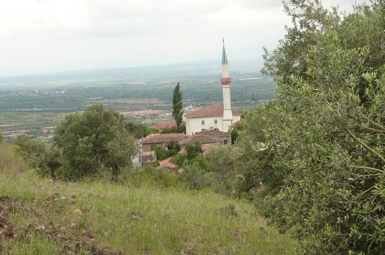 Akhisar Dingiller  Köyü Resimleri 6