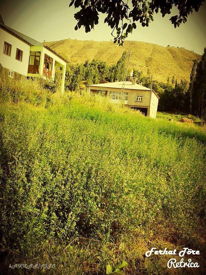 Şemdinli Korgan   Köyü Resimleri 2