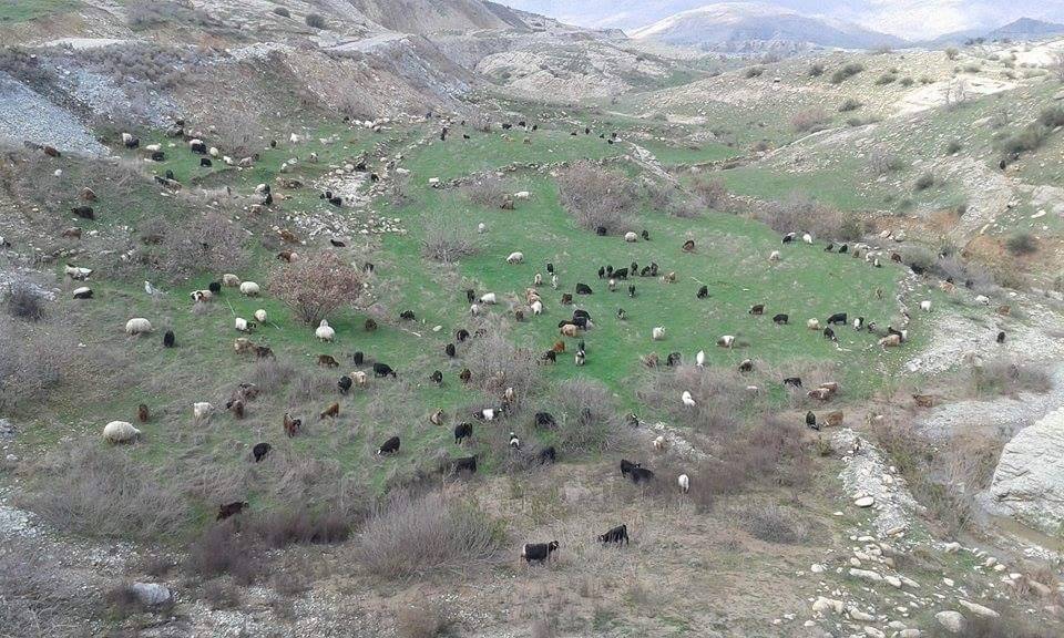 Dargeçit Karabayır Köyü Resimleri 2