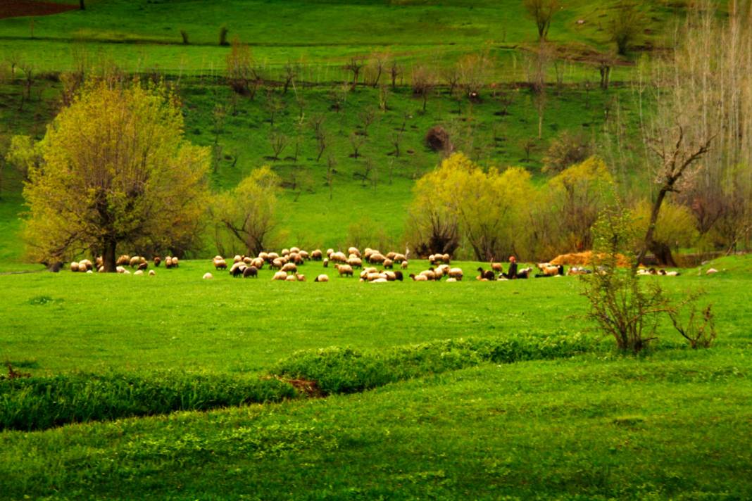 Şemdinli Yufkalı Köyü Resimleri 4