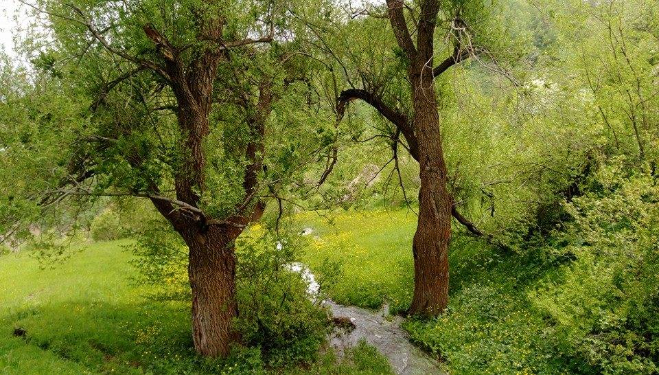 Yüksekova Akocak Köyü Resimleri 4