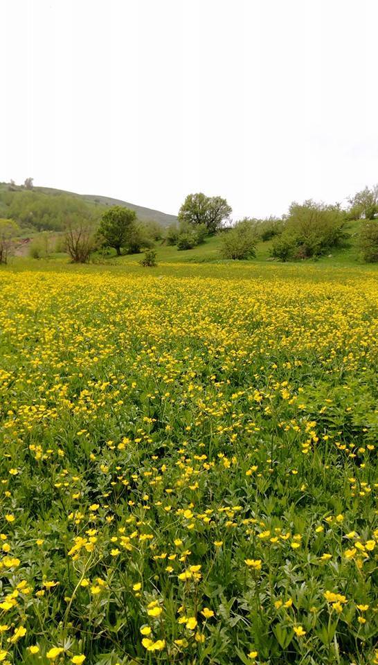 Yüksekova Akocak Köyü Resimleri 5