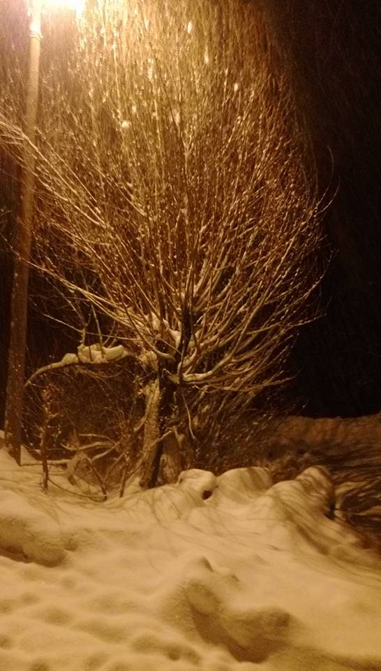 Yüksekova Akocak Köyü Resimleri 6