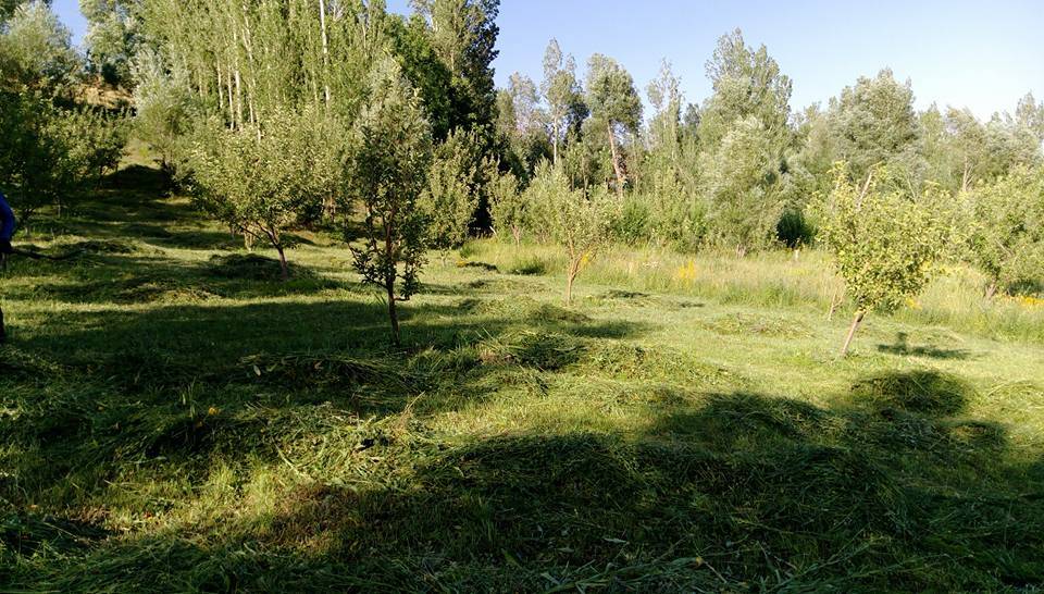 Yüksekova Akocak Köyü Resimleri 8