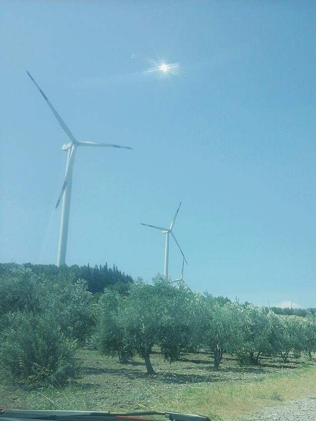 Akhisar Doğuca Köyü Resimleri 5