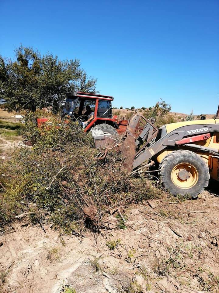 Yenipazar Aşağıçaylı Köyü Resimleri 2