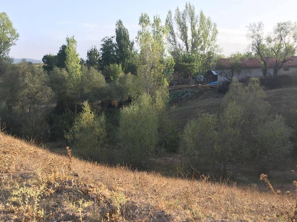 Yenipazar Belkese Köyü Resimleri 5