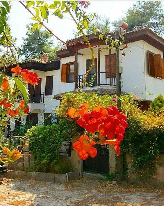 Yenipazar Dereköy Köyü Resimleri 2