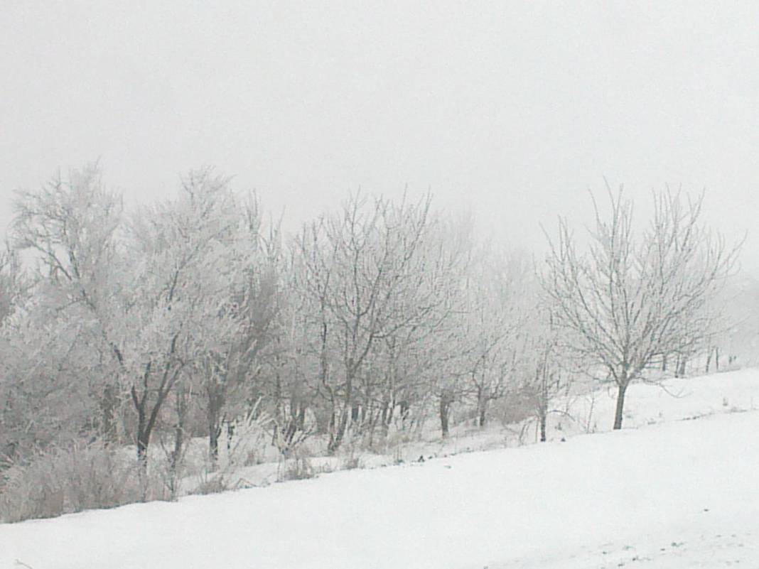 Yenipazar Esenköy Köyü Resimleri 6