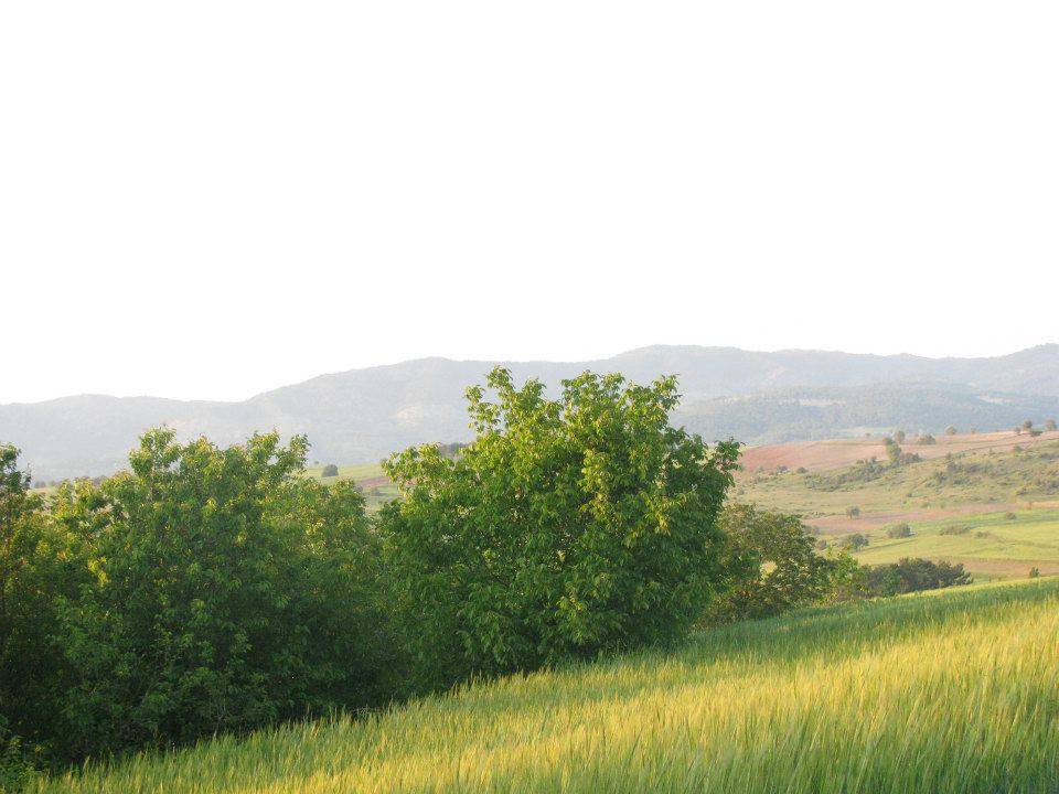 Yenipazar Esenköy Köyü Resimleri 7