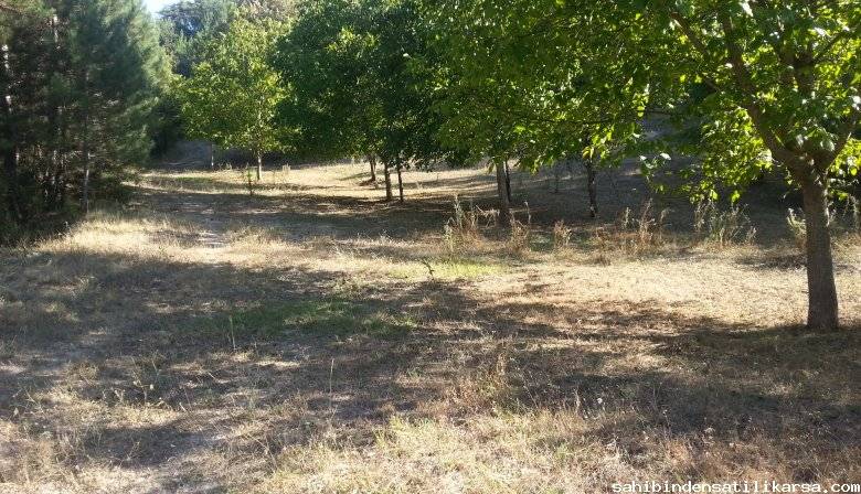 Yenipazar Esenköy Köyü Resimleri 9