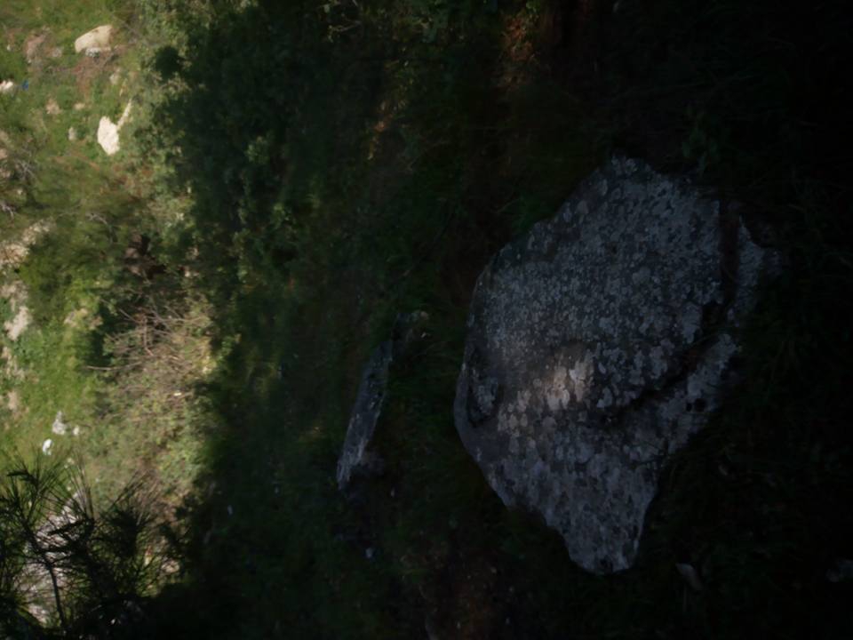 Akhisar Dolmadeğirmen Köyü Resimleri 1