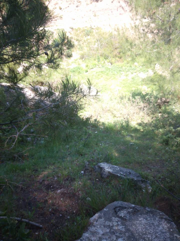 Akhisar Dolmadeğirmen Köyü Resimleri 4