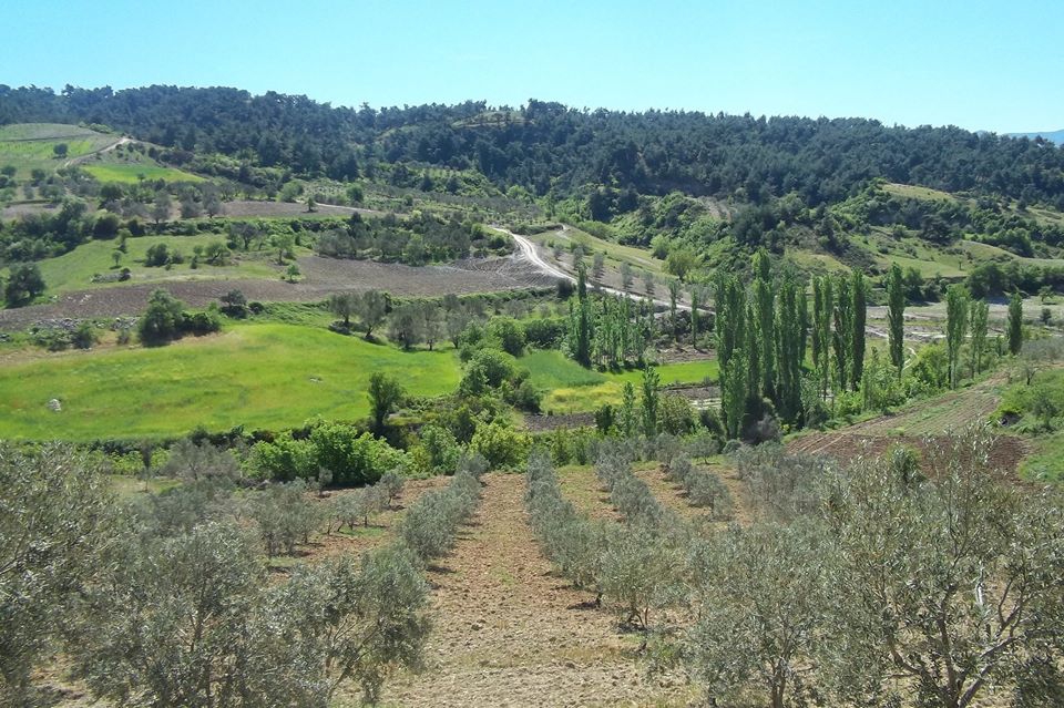 Akhisar Dolmadeğirmen Köyü Resimleri 7