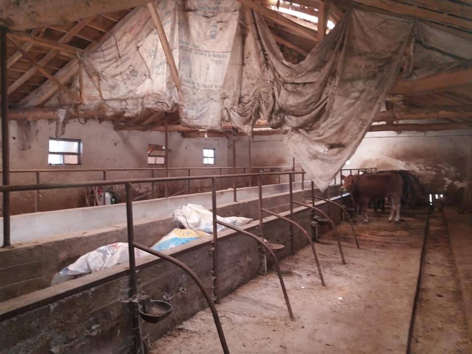 Yenipazar Katran Köyü Resimleri 8