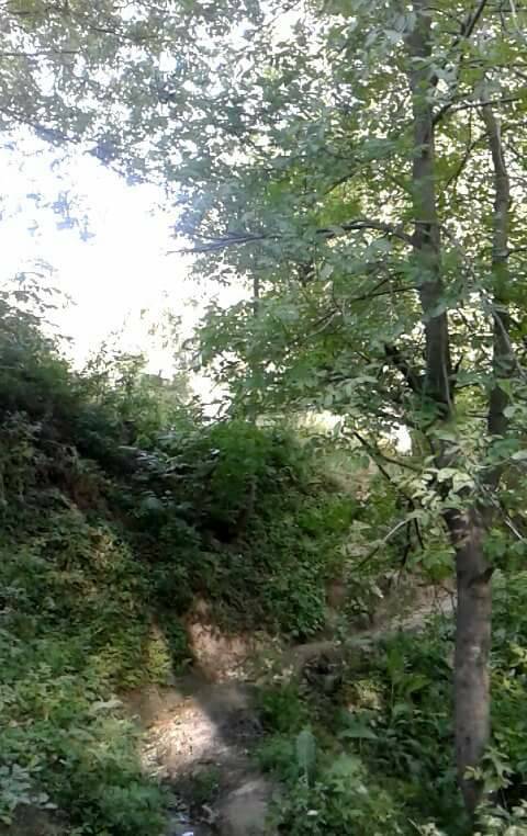 Yüksekova Dağlıca Köyü Resimleri 4