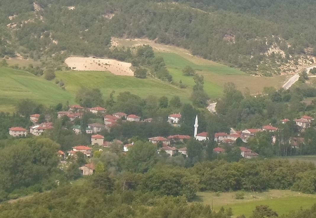 Yenipazar Kuşça Köyü Resimleri 1