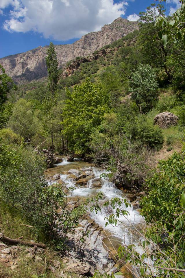 Silopi Ballıkaya Köyü Resimleri 10