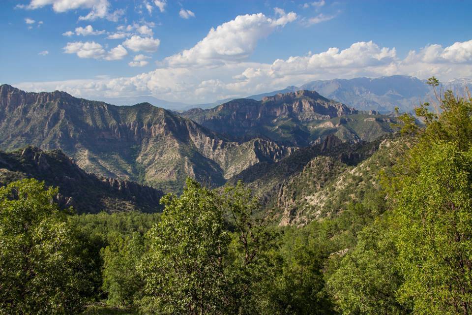 Silopi Ballıkaya Köyü Resimleri 11