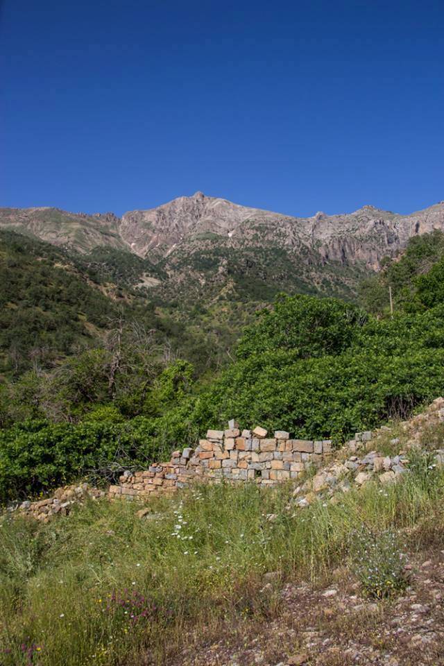 Silopi Ballıkaya Köyü Resimleri 2