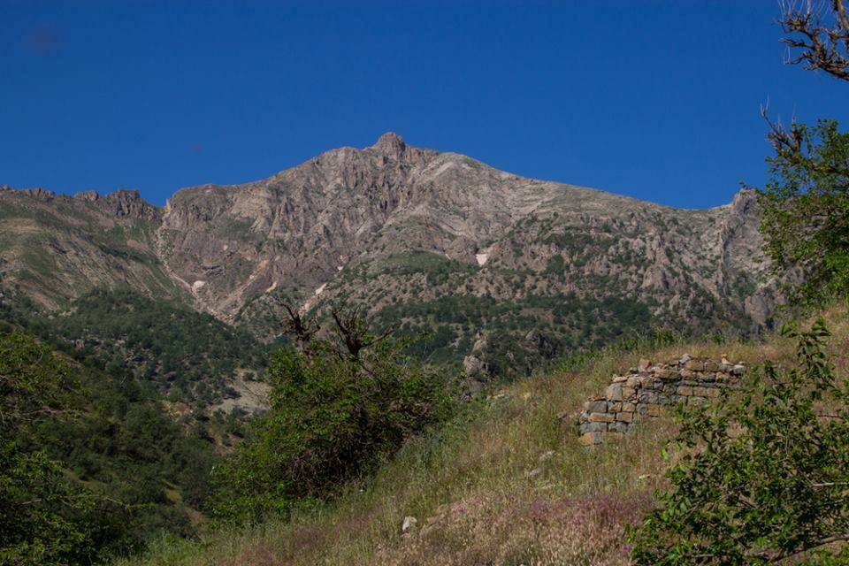 Silopi Ballıkaya Köyü Resimleri 3