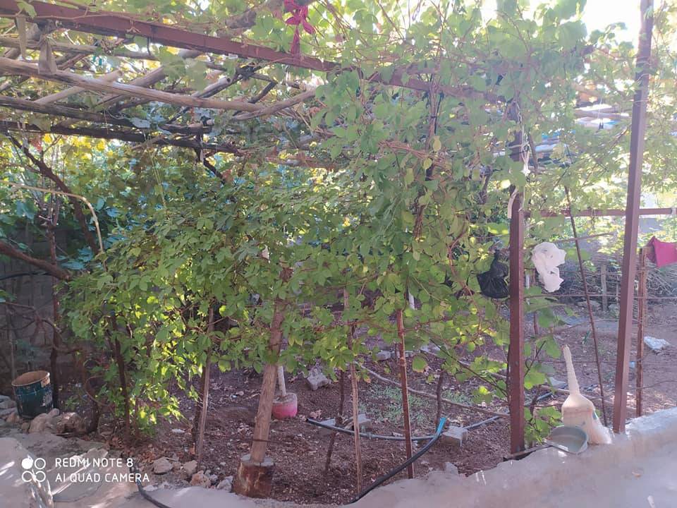 Silopi Başak Köyü Resimleri 1