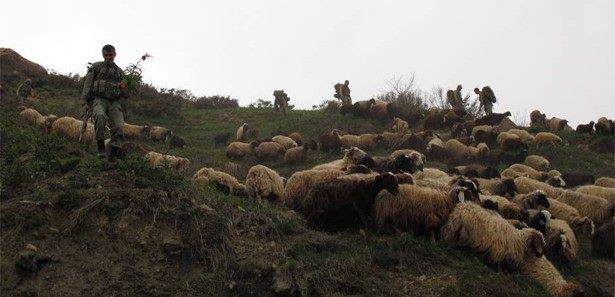 Yüksekova Kazan Köyü Resimleri 2